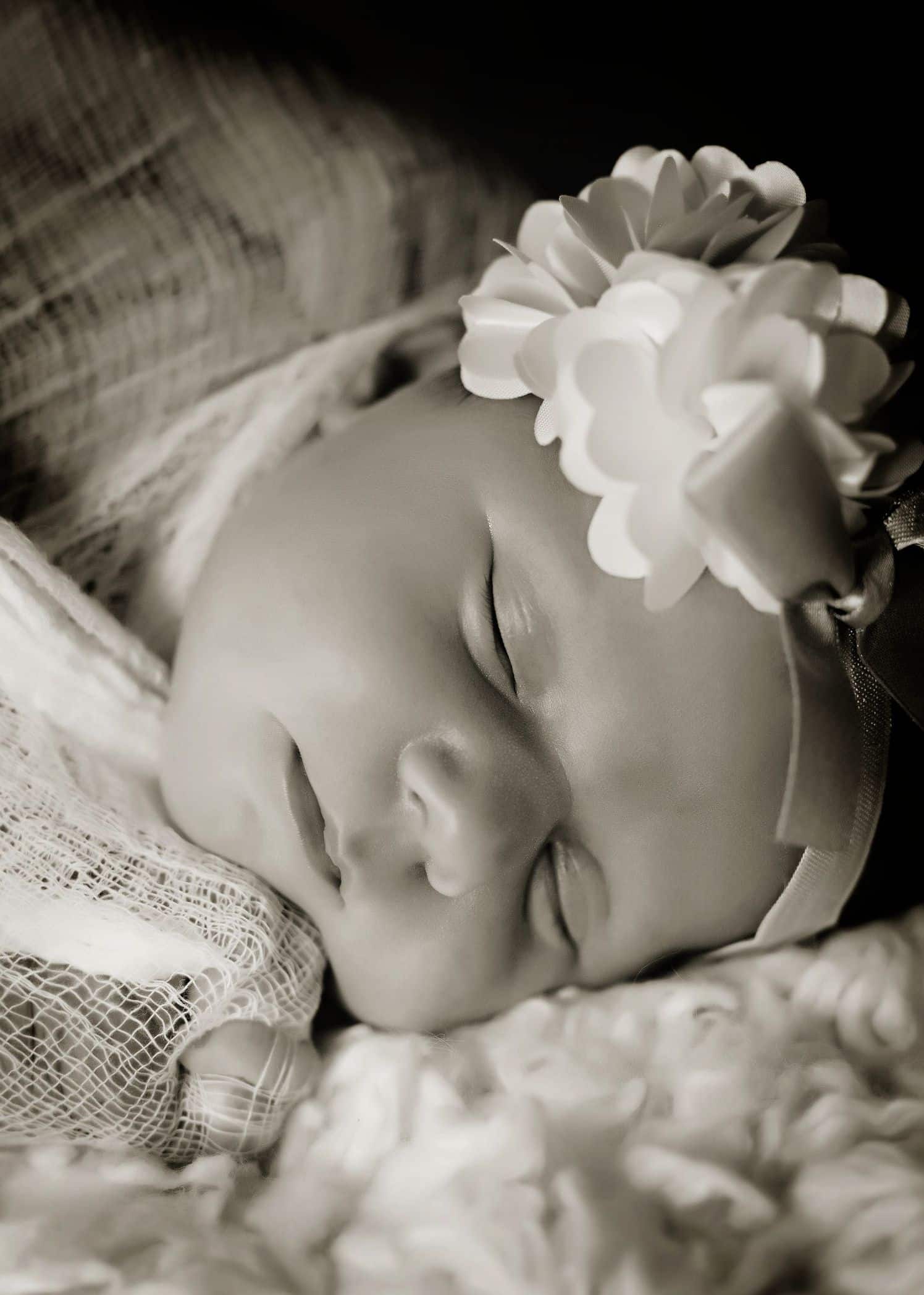 black and white newborn photography meridian