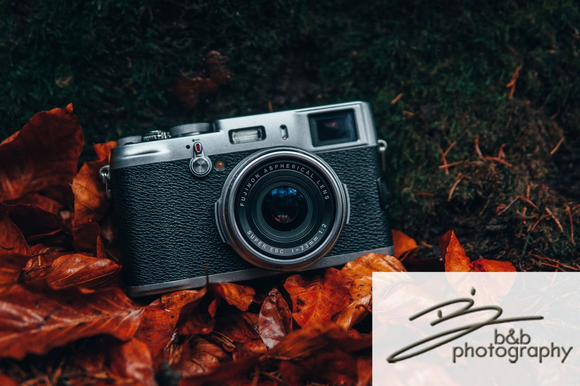 A camera sitting in orange leaves.